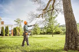 Forestbrook, SC Tree Removal and Landscaping Services Company